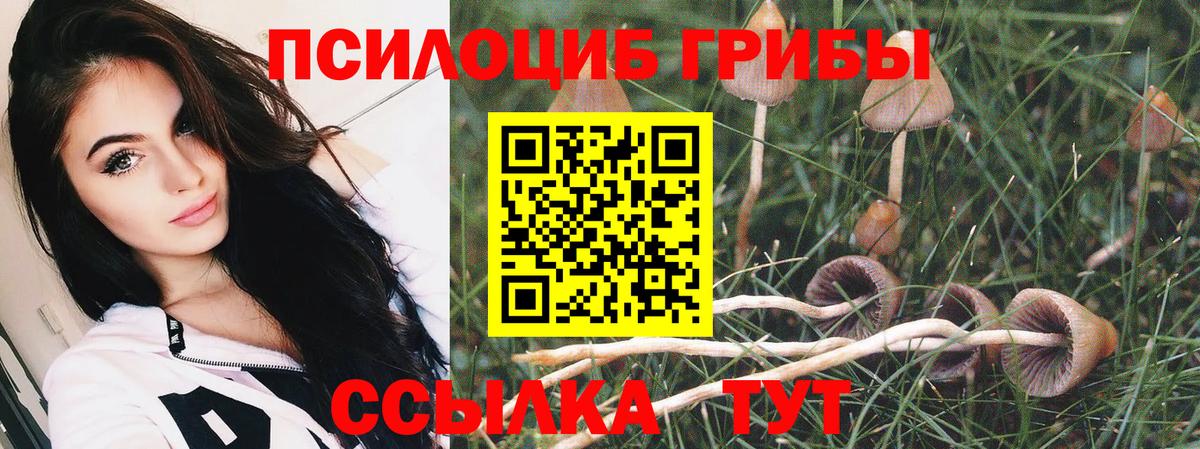 Ачинск  Псилоцибиновые грибы Cubensis  Вход с VPN  Галлюциногенные грибы Magic Shrooms 